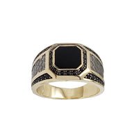 Zirconia & Black Onyx Men's Ring (14K)