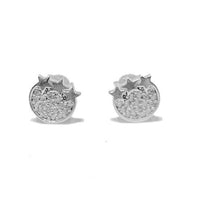 Star Shield CZ Earring (14K)