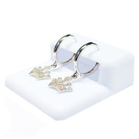 Crown CZ Earrings (14K).