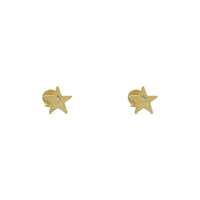 Starry Stud Earrings (14K) front - Popular Jewelry - New York