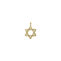 Icy Star of David Pendant (14K) front - Popular Jewelry - New York