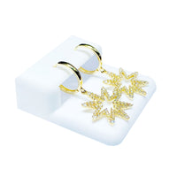 Star CZ Earrings (14K).