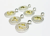Zodiac Sign Pendant (Silver).