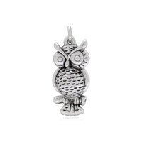Owl Antique Pendant (Silver) front - Popular Jewelry - New York