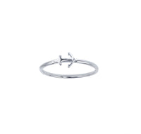 Anchor Ring