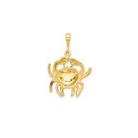 Satin Diamond-Cut Cancer Zodiac Pendant (14K)