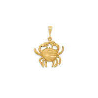Satin Diamond-Cut Cancer Zodiac Pendant (14K)