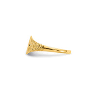 Textured Signet Pinky Ring (14K)