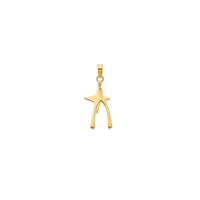 Lucky Star & Wishbone Pendant (14K)