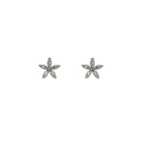 Diamond Star Stud Earrings (14K) Popular Jewelry New York