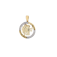 Outlined Zodiac Sign Medallion Pendant (14K)