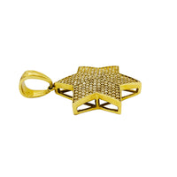 David Star Diamond Pendant (10K)