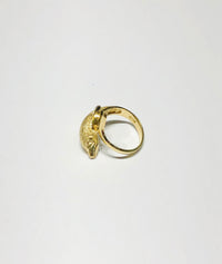 Dolphin Sand Blast Finish Ring (14K)