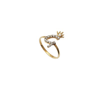 Initial Crown Letter G CZ Ring (14K)