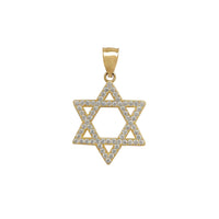 Star of David CZ Pendant (14K) Popular Jewelry New York