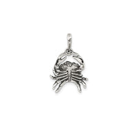 3-D Antique-Finish Cancer Zodiac Pendant (Silver)
