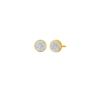 Round Shaped Diamond Earrings (14K)