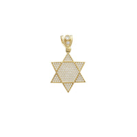 Iced-Out Star David Pendant (14K)
