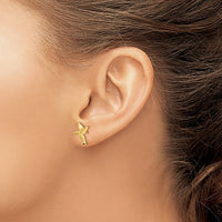 Textured Hummingbird Stud Earrings (14K)