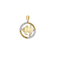 Outlined Zodiac Sign Medallion Pendant (14K)