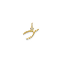 Wishbone Pendant (14K) front - Popular Jewelry - New York