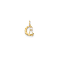 Zirconia Moon Cat Pendant (14K)