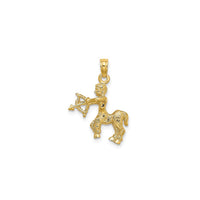 Sagittarius Zodiac Pendant (14K)