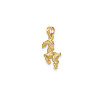 Lightweight 3-D Capricorn Zodiac Pendant (14K)