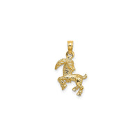 Lightweight 3-D Capricorn Zodiac Pendant (14K)