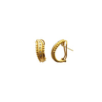 Fancy Design Diamond Earring (14K)