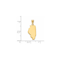Plain Illinois State Pendant (14K)