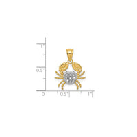 Two-Tone Diamond-Cut Cancer Zodiac Pendant (14K)