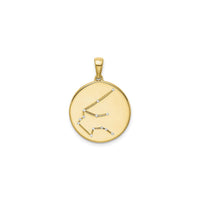 Aquarius Zodiac Constellation Medal (Silver) front - Popular Jewelry - New York