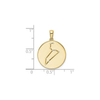 Leo Zodiac Constellation Medal (Silver) scale - Popular Jewelry - New York