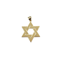 Star of David Pendant (14K)