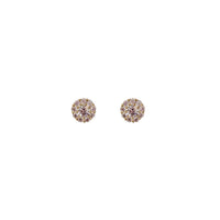 Cubic Zirconia Halo Flower Stud Earrings (14K)