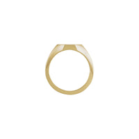12 mm Octagon Signet Ring (14K) setting - Popular Jewelry - New York