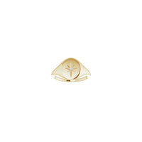 Diamond Shining Star Oval Signet Ring (14K) front - Popular Jewelry - New York
