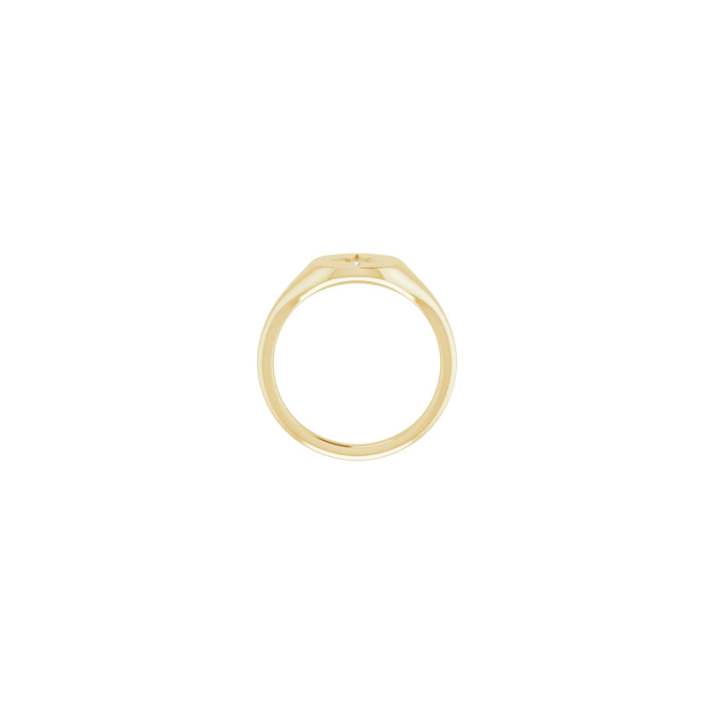 Diamond Shining Star Oval Signet Ring (14K) setting - Popular Jewelry - New York