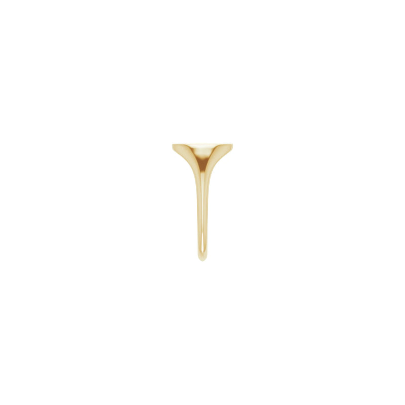 Diamond Shining Star Oval Signet Ring (14K) side - Popular Jewelry - New York