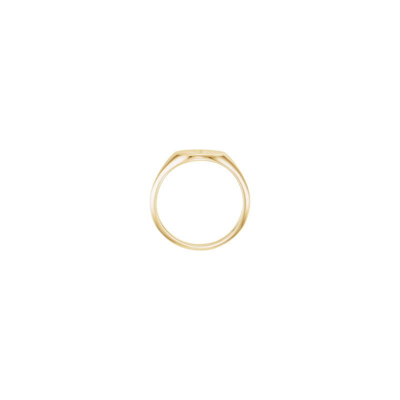 Diamond Shining Star Sideways Oval Signet Ring (14K) setting - Popular Jewelry - New York