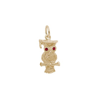 Red Eyed Graduation Owl Pendant (14K) Popular Jewelry - New York