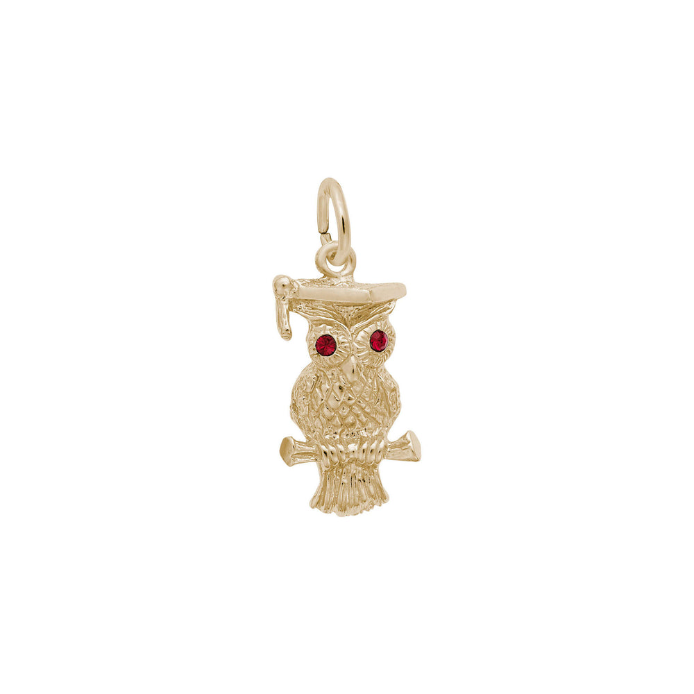 Red Eyed Graduation Owl Pendant (14K) Popular Jewelry - New York