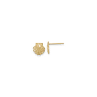 Satin Diamond-Cut Seashell Stud Earrings (14K) main - Popular Jewelry - New York
