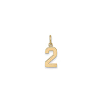Varsity Number 2 kulons (14 K) priekšpusē — Popular Jewelry - Ņujorka