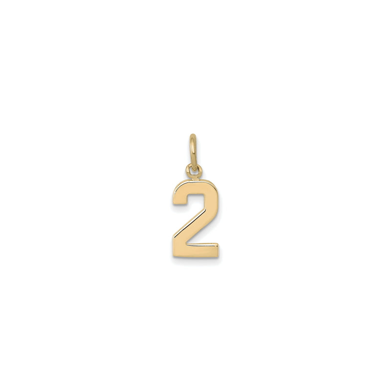 Varsity Number 2 Pendant (14K) front - Popular Jewelry - New York