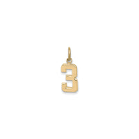 Varsity Number 3 Pendant (14K) front - Popular Jewelry - New York