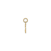 Varsity Number 5 Pendant (14K) side - Popular Jewelry - New York
