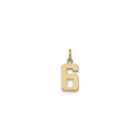 वर्सिटी नंबर 6 पेंडेंट (14K) फ्रंट - Popular Jewelry - न्यूयॉर्क