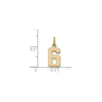 Varsity Number 6 Pendant (14K) scale - Popular Jewelry - New York